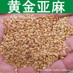 �ݻ��N�� �S������N�� ������ ����N�� 1��=1��