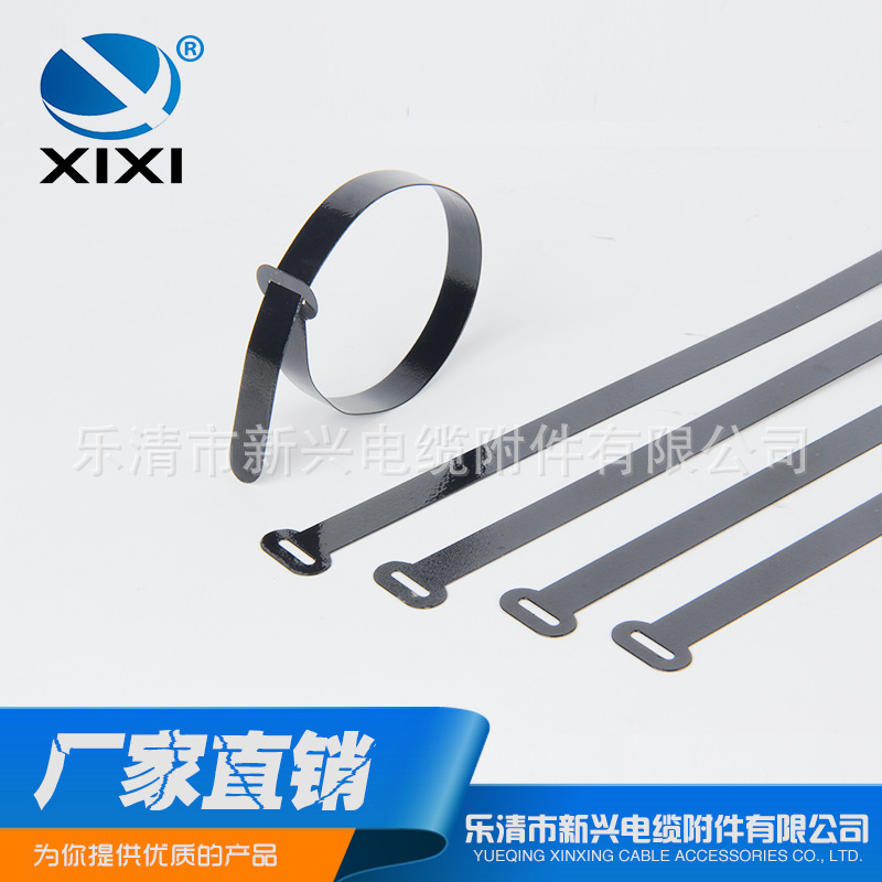 厂家批发不锈钢扎带BZ-T耐高温室外船用自锁式金属电缆不锈钢扎带