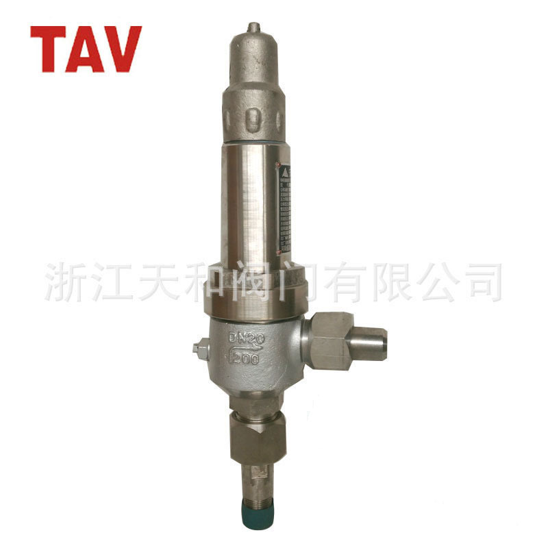 安全阀 A61W-160P/320P 高压焊接式安全阀 浙江天和 不锈钢304