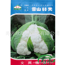 ѩɽ60�컨Ҭ�˷N�� �����͟Ό������ ���d60��߮a��ɫ�˻��N��