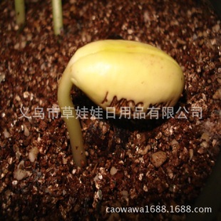 35��С���b�I�B����ʯ2-4mm �����@ˇ�������Ի��|����Nֲ��ʯ