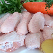 鸡翅冷冻 中批发 速冻食品 生鸡翅中批发 潍坊厂家批发非腌制食品