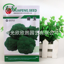 �������m���N�� �Gɫ��Ҭ�˾G�˻� �߮a�����໨�˼�ͥ�߲˷N��