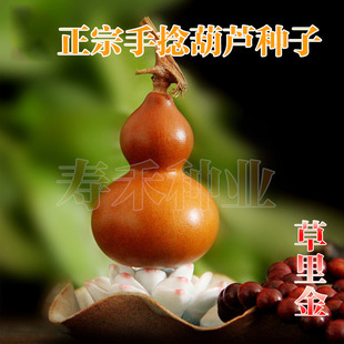 ������������J�N�� �����^�p����С���J �ش���́����˺��J�N��