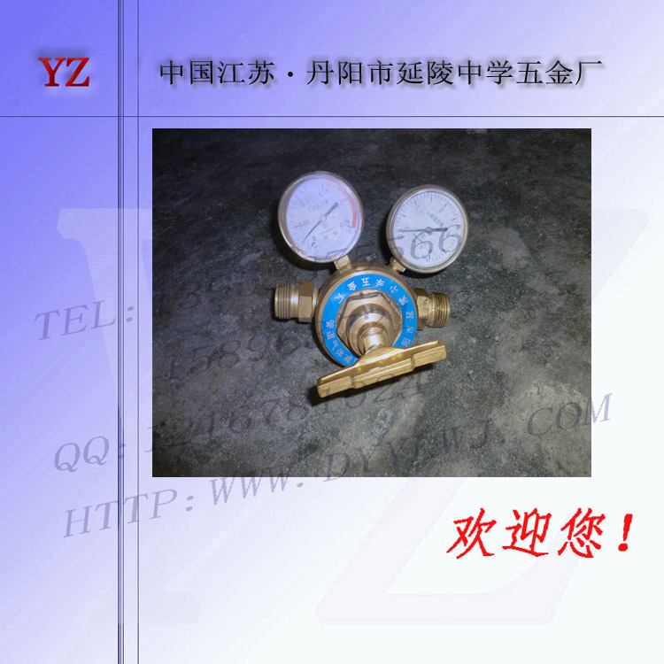 DQJ-11管道气体减压器/氮气减压器/管路减压阀/汇流排管道调压阀