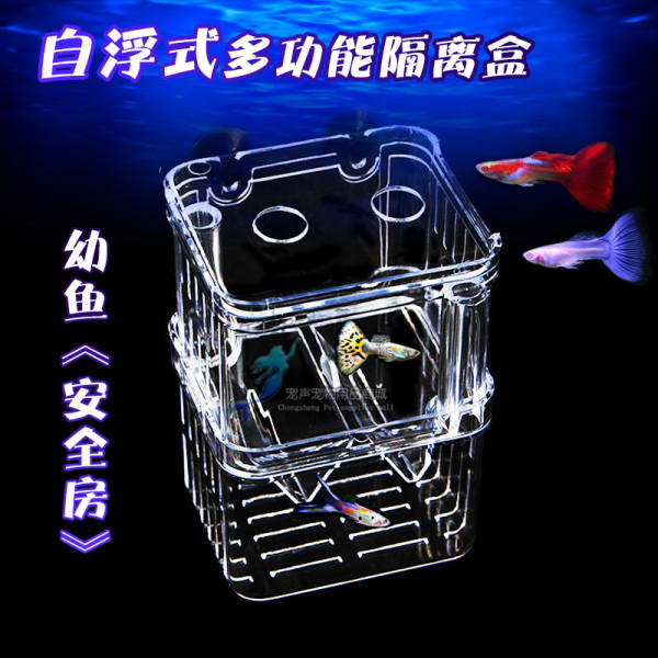 Peacock fish breeding box Fish tank Yayli isolation box extra large…