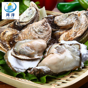 ���l����뚤������rĵϠ�����[�������������亣Ϡ���r���خa