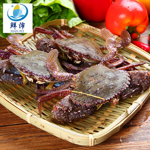 �ڻ�з ��зʯз������� Դ�� ���r��Ʒ