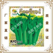 K40菜心玉 喜良种子公司直售批零基地大棚大田四季种植蔬菜种子