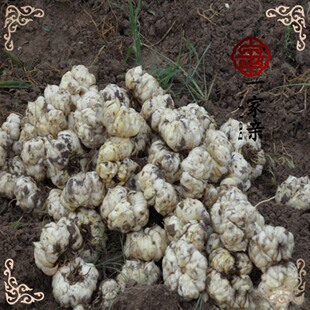 2025��؛�����خa��ɽșʳ���þ����r�ٺϷN����m�ݡ��r&middot;��׼��