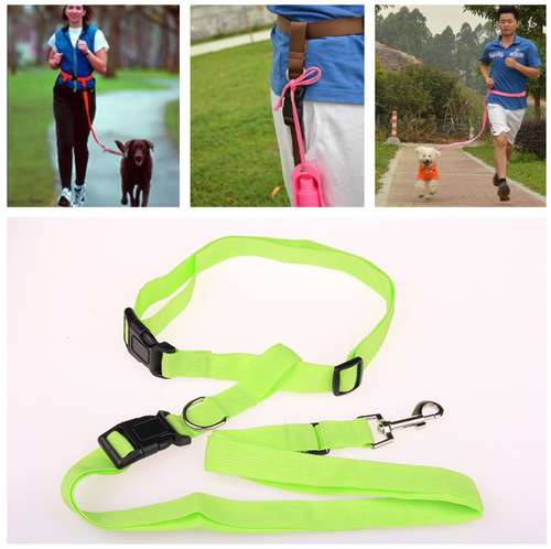 The manufacturer supplies large quantities of pet running harnesses and dog walking leashes, suitable for morning runs, fitness activities, and dog walks.