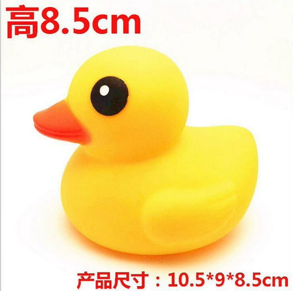 No. 5 duck