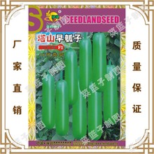 ��ɽ�����F1  ϲ���N�繫˾ֱ�����������طNֲ�߲˷N��