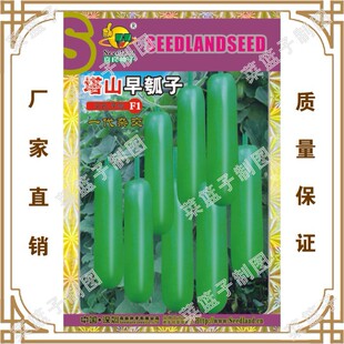 ��ɽ�����F1  ϲ���N�繫˾ֱ�����������طNֲ�߲˷N��