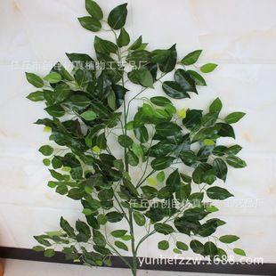 �����z���~�^�z���~���Ĳ��֧��֦��֧ƿ���b@�ֹ��̘�֦���l