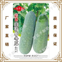 冯子龙种苗公司直售批零大田基地种植蔬菜种子 新选伯粉小冬瓜