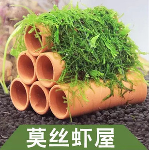Three Tubes Six Tubes moss Planting Shrimp House Aquarium Fish Tank Landscape Water Grass moss Crystal Shrimp House Spot