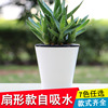 Plastic big flowerpot, new collection, wholesale