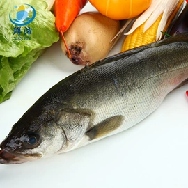 鱼类;水产干货类;贝类