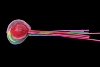 115 cm (pole 90+ net pocket 25)