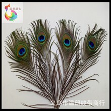 �؃���ë�S�ҬF�N30CM��ȸë��Ȼ�廨�b��h�朲����W�ݳ�����