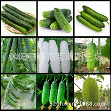 �߲˹Ϲ��N��ˮ���S�ϴ����S�ϴ�����S�� �r���ԷN�Gɫ�ЙC�S��