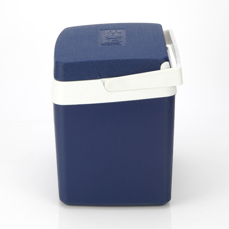 ESKY10L plástico clásico PU caja de aislamiento refrigerador de bebidas para llevar al aire libre regalo de Año Nuevo caja de regalo de alta calidad