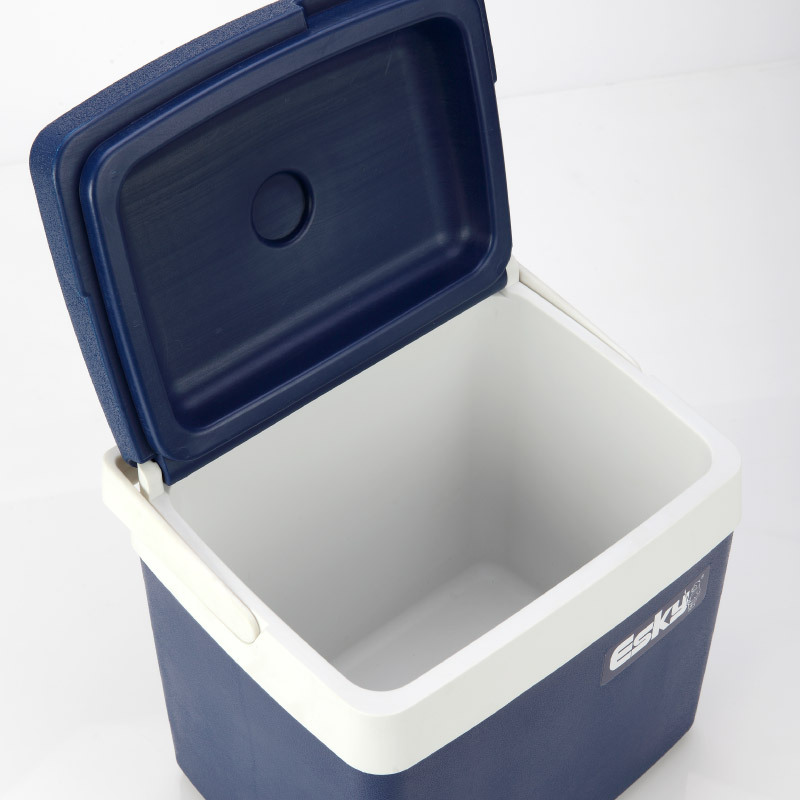 ESKY10L plástico clásico PU caja de aislamiento refrigerador de bebidas para llevar al aire libre regalo de Año Nuevo caja de regalo de alta calidad