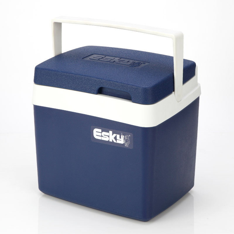 ESKY10L plástico clásico PU caja de aislamiento refrigerador de bebidas para llevar al aire libre regalo de Año Nuevo caja de regalo de alta calidad