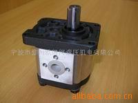 力士乐，林德，内田A8V107补油泵供应力士乐齿轮泵／齿轮马达