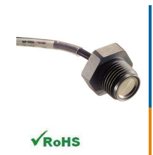 TE高精度液位压力传感器LM31-00000F-002PG