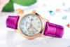 Waterproof brand belt, quartz watches, swiss watch, Switzerland