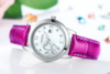 Waterproof brand belt, quartz watches, swiss watch, Switzerland