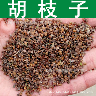 ֦ӷN S܊ Ƥ ֦lN 1=1