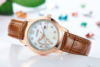 Waterproof brand belt, quartz watches, swiss watch, Switzerland