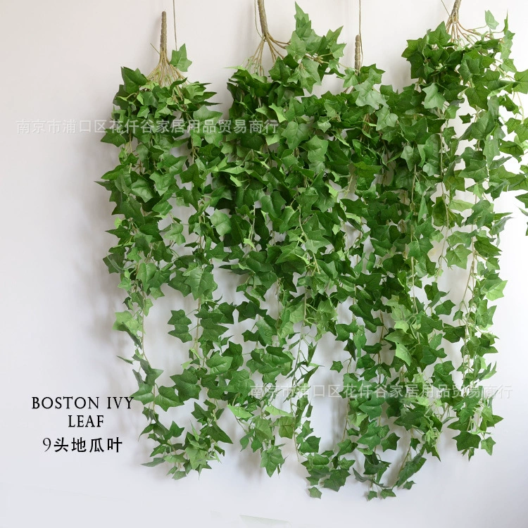 Совокупность Ivy imitation plant green leaf vine creative indoor wall hanging decoration simulation plant sweet potato vine