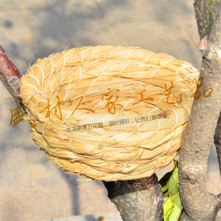 ܽ���B�B�C��ֳ�C�ݸC �C ���B�C�����B�C���C�W�^���B