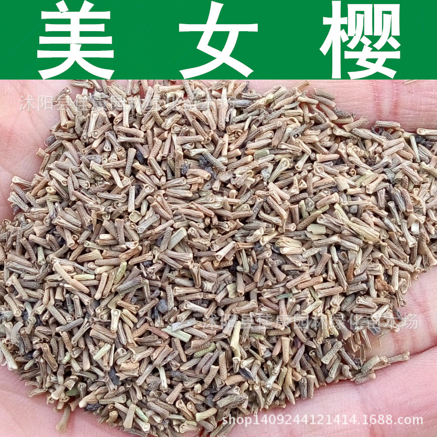 美女樱种子 草五色梅 铺地马鞭草 四季绣球种子 1件=1斤