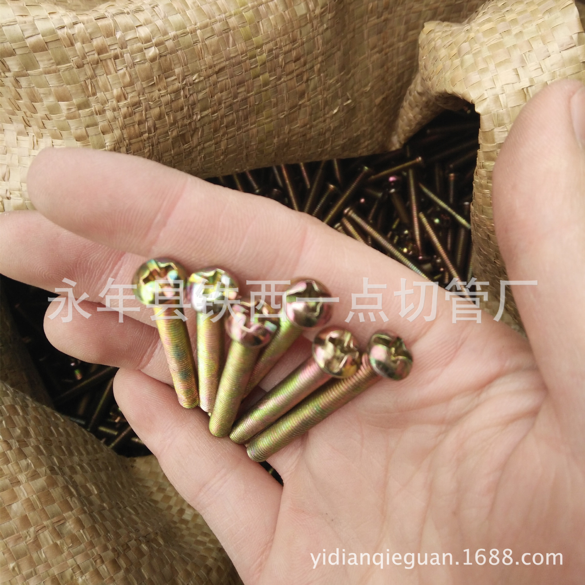 元机螺丝 半圆头十一字螺丝 镀彩 6*16 6*20 6*30 5*30