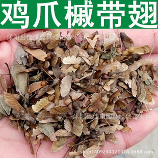 Linmu Seed Small Leaf Chicken Claw Maple Seed Chicken Claw Maple Small Grain Chicken Claw Maple 1Piece= 0.5kg
