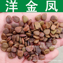 ����P�N�� ͐���� �S���� ���P���N�� �S���P 1��=1��