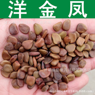 ����P�N�� ͐���� �S���� ���P���N�� �S���P 1��=1��