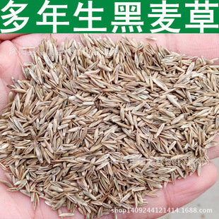 �����ݷN�� ������������ �����ݲ��� 1��=1��