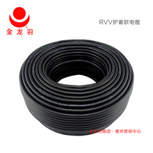 現貨RVV3+1、3+2、4+1芯護套軟電纜 金龍羽軟電纜白色護套軟電纜