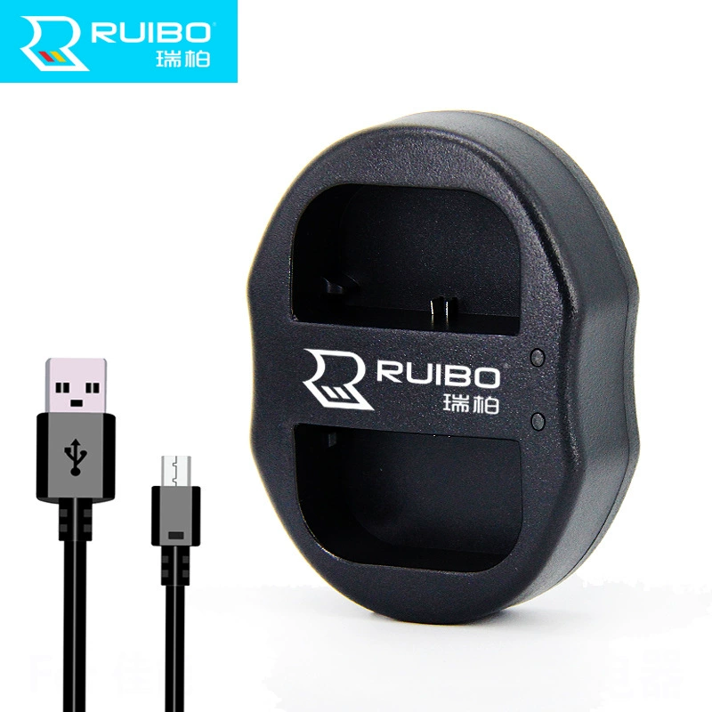 NP-BG1 FG1 BG1 Зарядное устройство USB двойная зарядка H20 W210 220 290 W130 W170