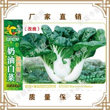 ϲNӏSֱشļNֲ ˬ~Ͱײ