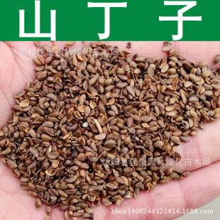 ��ľ�N�� ɽ���ӷN�� ɽ�G�� ɽ���� ���G�� 1��=1��