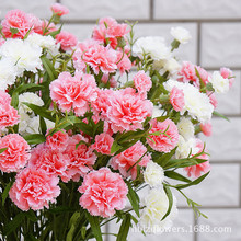 ��ͷСʯ����ܰĸ�׽ڽ�ʦ���û�ʯ�񻨷��滨�ٻ��Ҿӻ���װ��