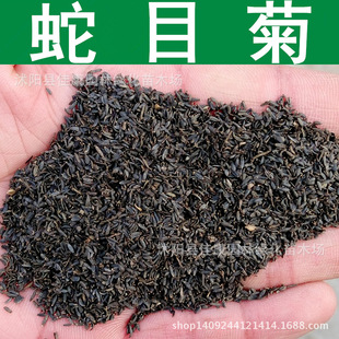 �ݻ��N�� ��Ŀ�շN�� С��˹�� ���X�� ��ȸ�շN�� 1��=1��