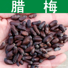 ľN D÷N Ϟ÷N ÷N Ϟ÷ Ϟ 1=1